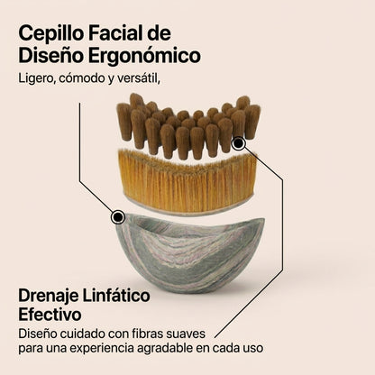 Cepillo Linfático SEMILUR™